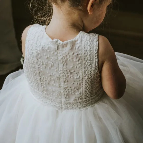 Bebe Embroidered Organza Dress - Ivory